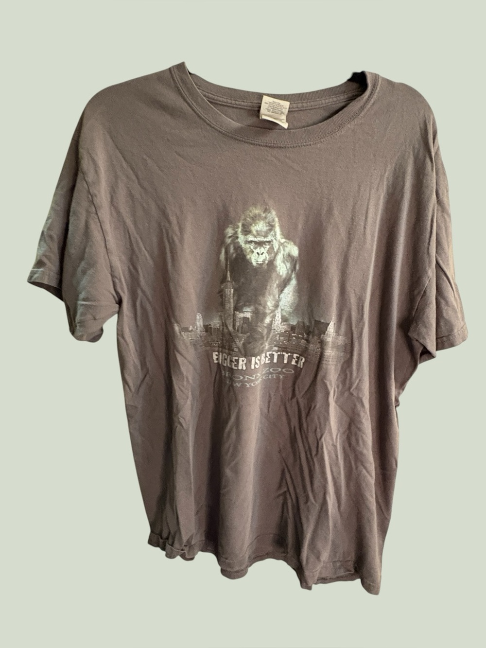 Vintage 90s y2k faded the Bronx zoo shirt | size Xl